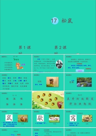 五年级语文上册 第五单元 17 松鼠课件