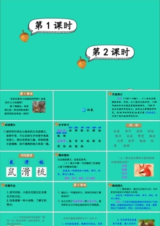 五年级语文上册 第五单元 17《松鼠》课件
