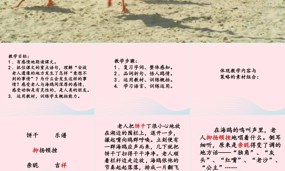 五年级语文上册 第五单元 18《老人与海鸥》教学课件 北京版-北京版小学五年级上册语文课件