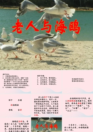 五年级语文上册 第五单元 18《老人与海鸥》教学课件 北京版-北京版小学五年级上册语文课件