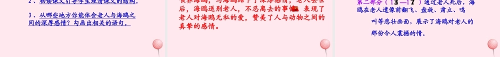 五年级语文上册 第五单元 18《老人与海鸥》课件 北京版-北京版小学五年级上册语文课件