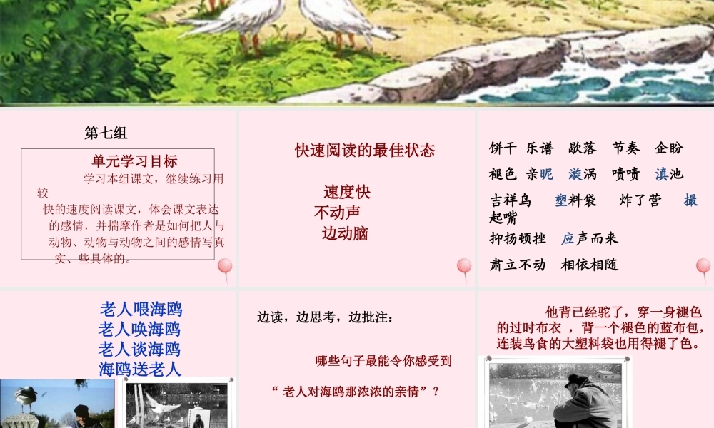 五年级语文上册 第五单元 18《老人与海鸥》课件1 北京版-北京版小学五年级上册语文课件