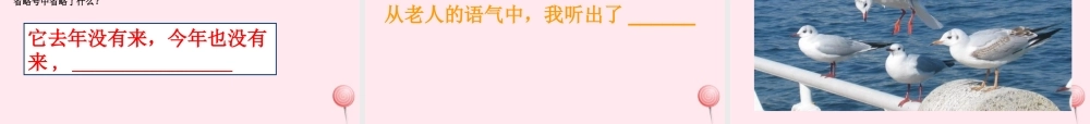 五年级语文上册 第五单元 18《老人与海鸥》课件1 北京版-北京版小学五年级上册语文课件