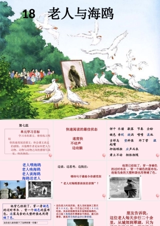 五年级语文上册 第五单元 18《老人与海鸥》课件1 北京版-北京版小学五年级上册语文课件