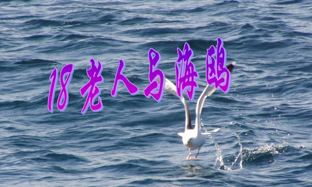 五年级语文上册 第五单元 18《老人与海鸥》课件2 北京版-北京版小学五年级上册语文课件
