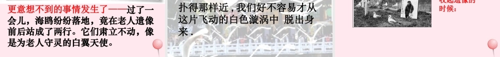 五年级语文上册 第五单元 18《老人与海鸥》课件3 北京版-北京版小学五年级上册语文课件