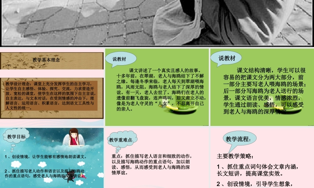 五年级语文上册 第五单元 18《老人与海鸥》课件4 北京版-北京版小学五年级上册语文课件