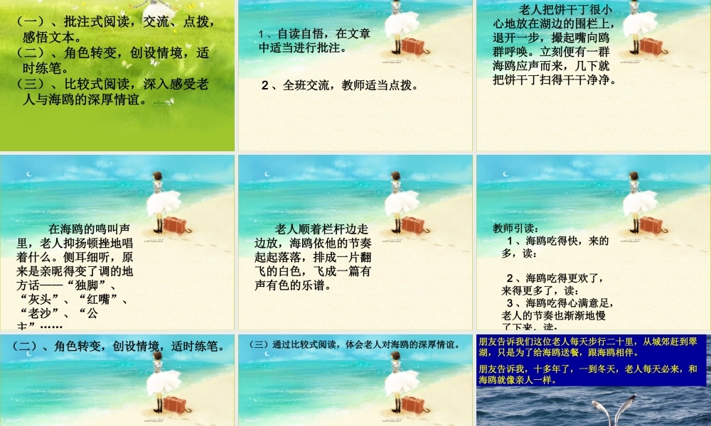 五年级语文上册 第五单元 18《老人与海鸥》课件4 北京版-北京版小学五年级上册语文课件