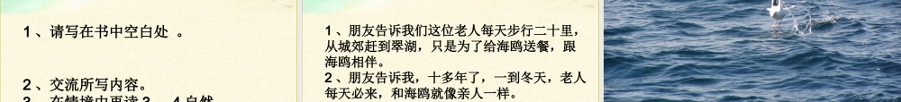 五年级语文上册 第五单元 18《老人与海鸥》课件4 北京版-北京版小学五年级上册语文课件
