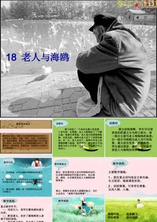 五年级语文上册 第五单元 18《老人与海鸥》课件4 北京版-北京版小学五年级上册语文课件