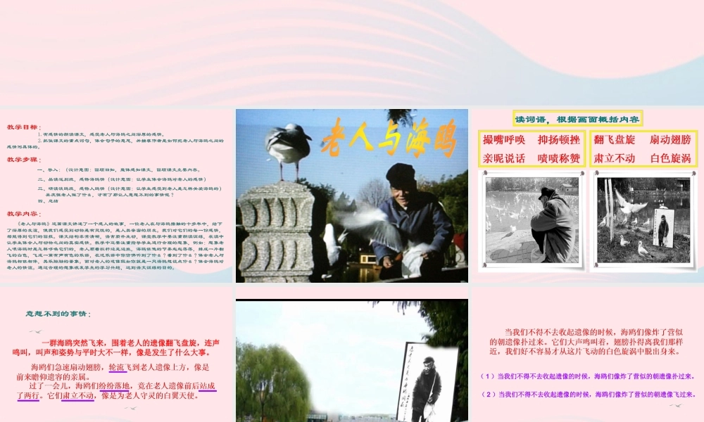 五年级语文上册 第五单元 18《老人与海鸥》名校课件 北京版-北京版小学五年级上册语文课件