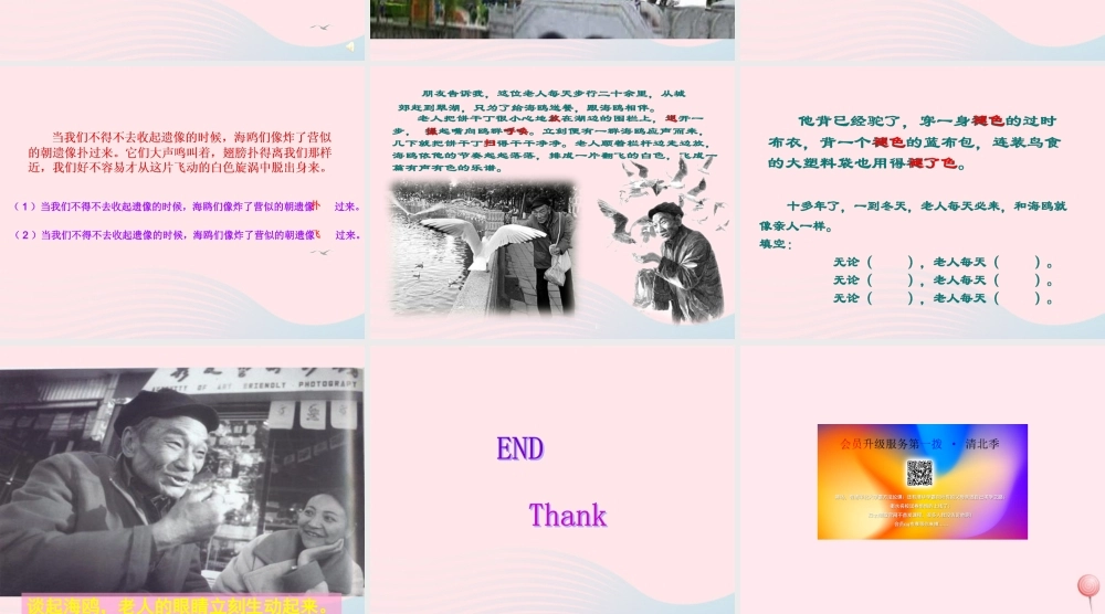 五年级语文上册 第五单元 18《老人与海鸥》名校课件 北京版-北京版小学五年级上册语文课件