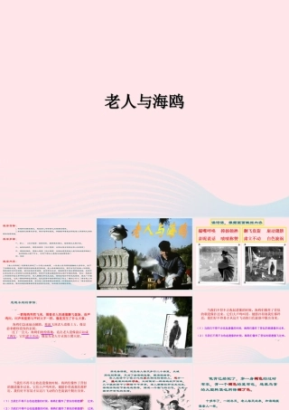 五年级语文上册 第五单元 18《老人与海鸥》名校课件 北京版-北京版小学五年级上册语文课件