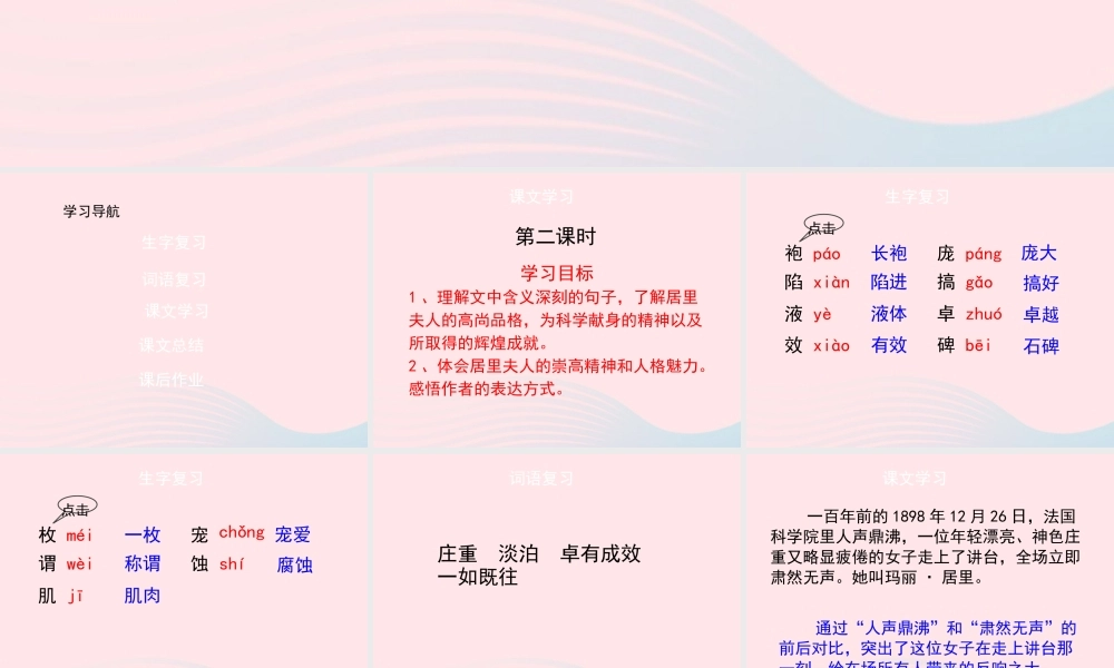 五年级语文上册 第五单元 21《跨越百年的美丽》（第二课时）优秀课件 冀教版-冀教版小学五年级上册语文课件