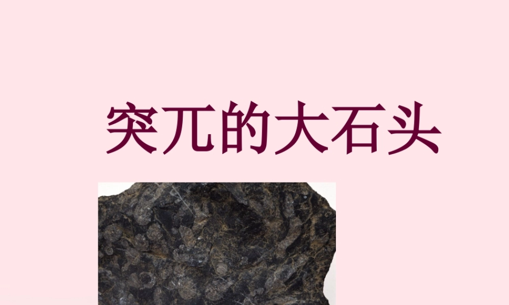 五年级语文上册 第五单元 24《突兀的大石头》同步精品课件 冀教版-冀教版小学五年级上册语文课件