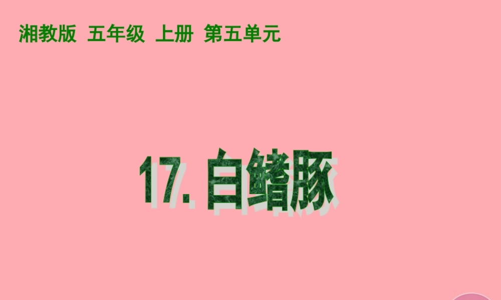 五年级语文上册 第五单元 白鳍豚课件1 湘教版-湘教版小学五年级上册语文课件