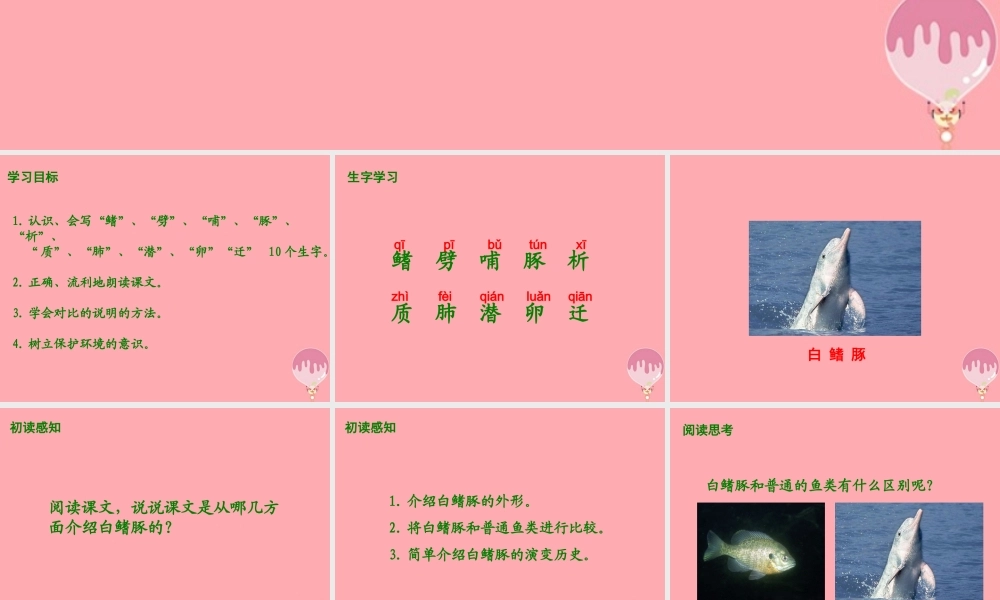 五年级语文上册 第五单元 白鳍豚课件1 湘教版-湘教版小学五年级上册语文课件