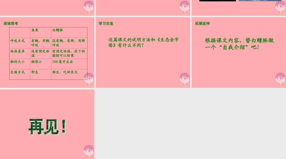 五年级语文上册 第五单元 白鳍豚课件1 湘教版-湘教版小学五年级上册语文课件