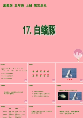 五年级语文上册 第五单元 白鳍豚课件1 湘教版-湘教版小学五年级上册语文课件