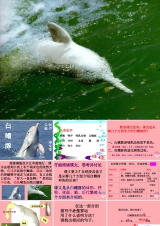 五年级语文上册 第五单元 白鳍豚课件2 湘教版-湘教版小学五年级上册语文课件
