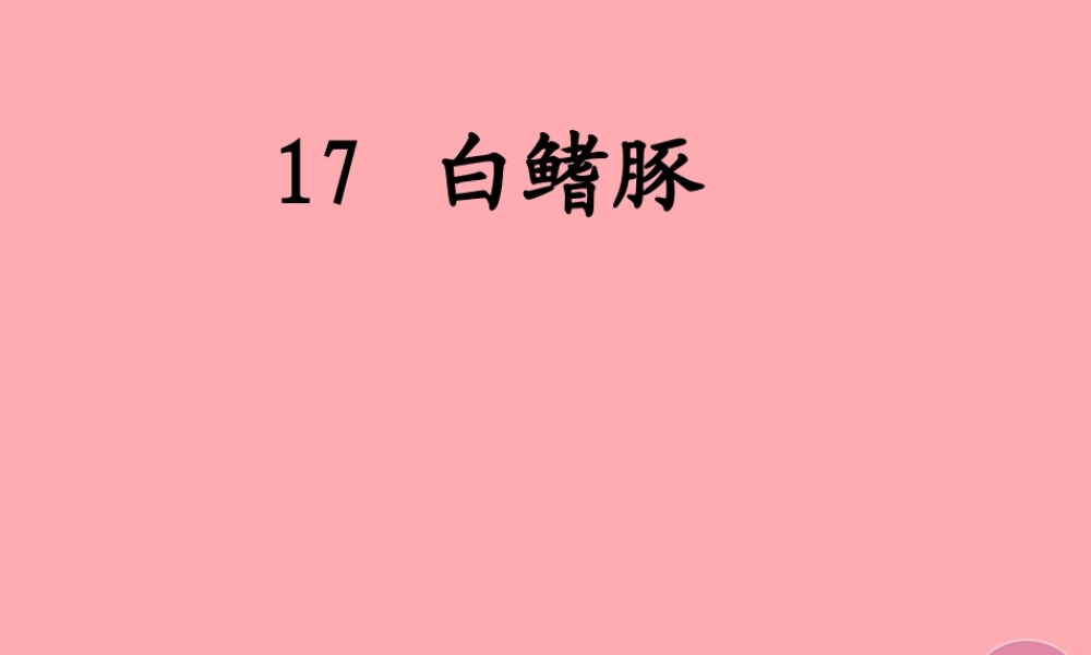 五年级语文上册 第五单元 白鳍豚课件3 湘教版-湘教版小学五年级上册语文课件