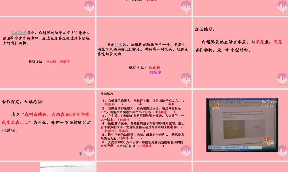 五年级语文上册 第五单元 白鳍豚课件3 湘教版-湘教版小学五年级上册语文课件