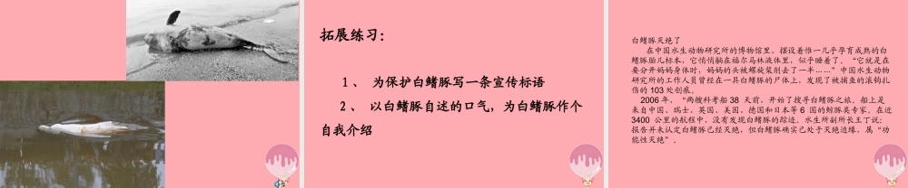 五年级语文上册 第五单元 白鳍豚课件3 湘教版-湘教版小学五年级上册语文课件