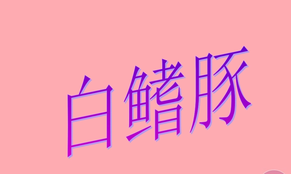 五年级语文上册 第五单元 白鳍豚课件4 湘教版-湘教版小学五年级上册语文课件