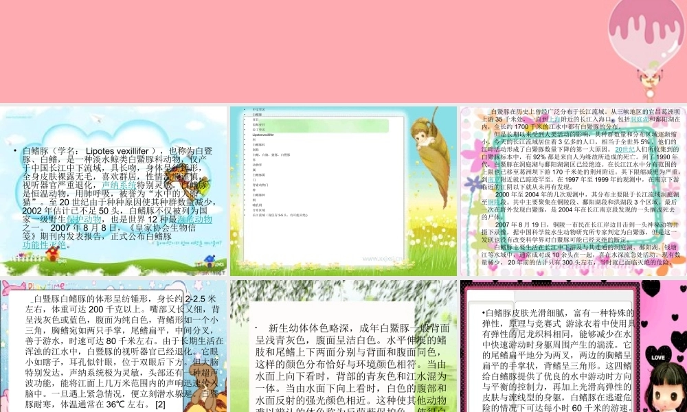 五年级语文上册 第五单元 白鳍豚课件4 湘教版-湘教版小学五年级上册语文课件