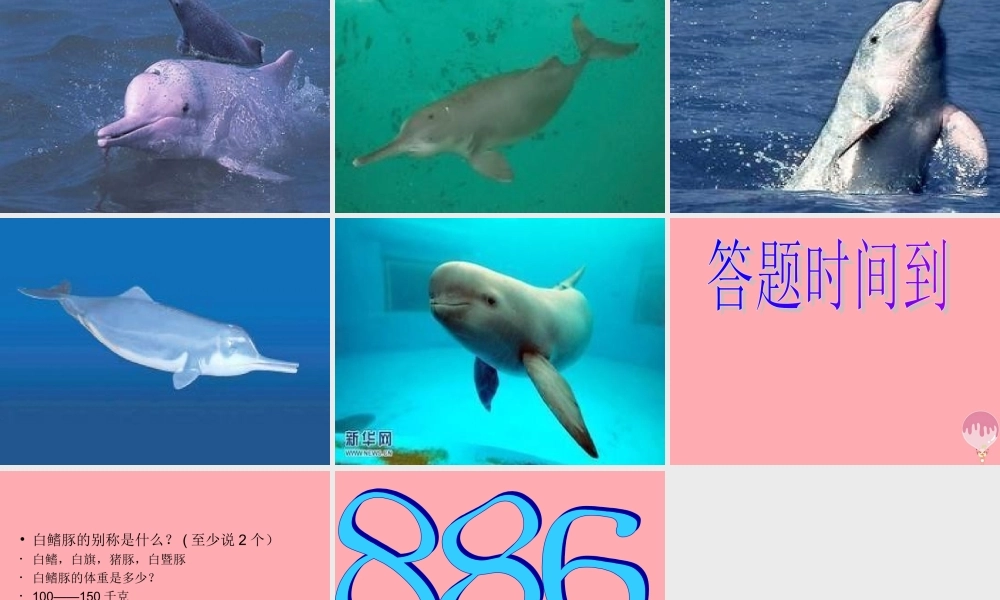 五年级语文上册 第五单元 白鳍豚课件4 湘教版-湘教版小学五年级上册语文课件