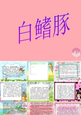 五年级语文上册 第五单元 白鳍豚课件4 湘教版-湘教版小学五年级上册语文课件