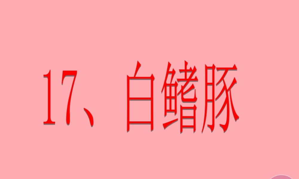 五年级语文上册 第五单元 白鳍豚课件5 湘教版-湘教版小学五年级上册语文课件