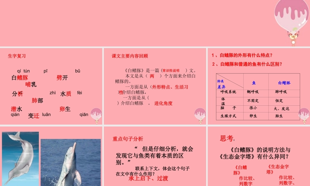 五年级语文上册 第五单元 白鳍豚课件5 湘教版-湘教版小学五年级上册语文课件