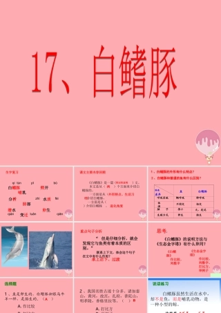 五年级语文上册 第五单元 白鳍豚课件5 湘教版-湘教版小学五年级上册语文课件