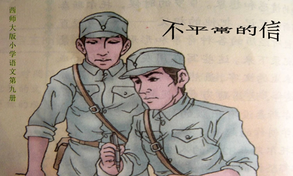五年级语文上册 第五单元 不平常的信课件2 西师大版-西师大版小学五年级上册语文课件