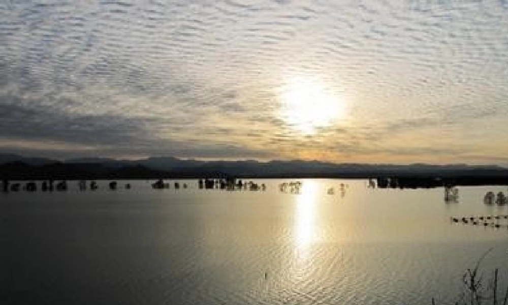 五年级语文上册 第五单元 不平常的信课件3 西师大版-西师大版小学五年级上册语文课件