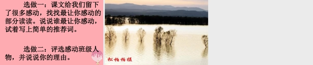 五年级语文上册 第五单元 不平常的信课件3 西师大版-西师大版小学五年级上册语文课件