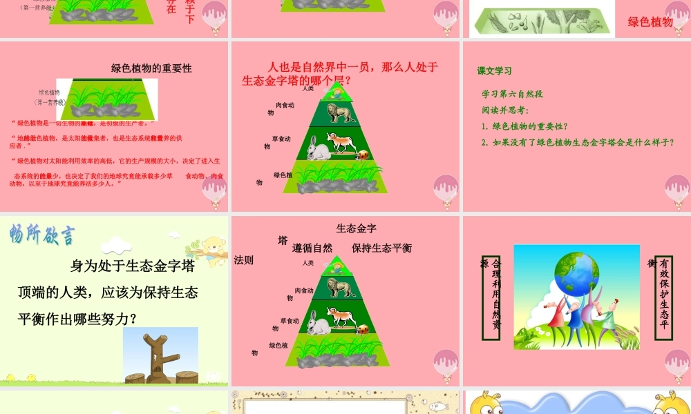 五年级语文上册 第五单元 生态金字塔课件1 湘教版-湘教版小学五年级上册语文课件
