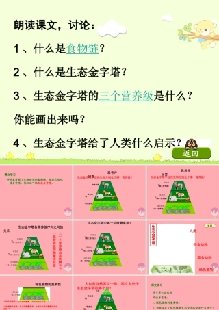 五年级语文上册 第五单元 生态金字塔课件1 湘教版-湘教版小学五年级上册语文课件