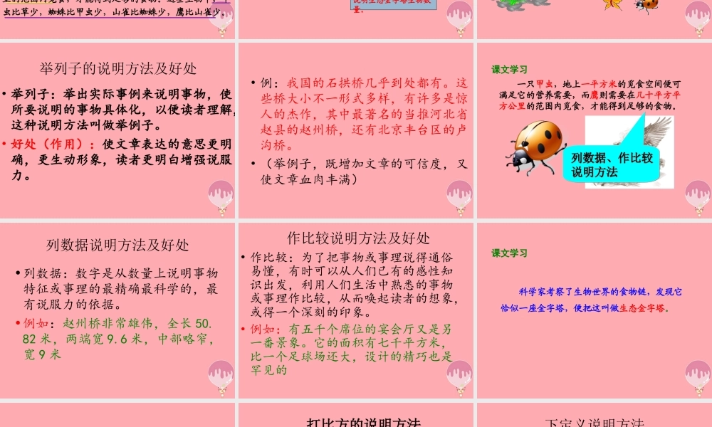 五年级语文上册 第五单元 生态金字塔课件2 湘教版-湘教版小学五年级上册语文课件