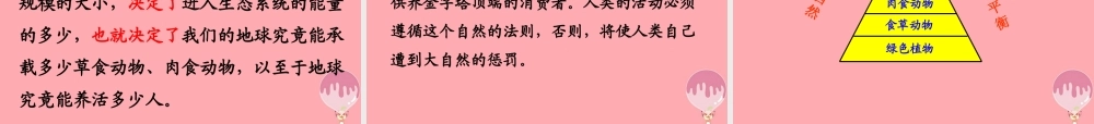五年级语文上册 第五单元 生态金字塔课件2 湘教版-湘教版小学五年级上册语文课件