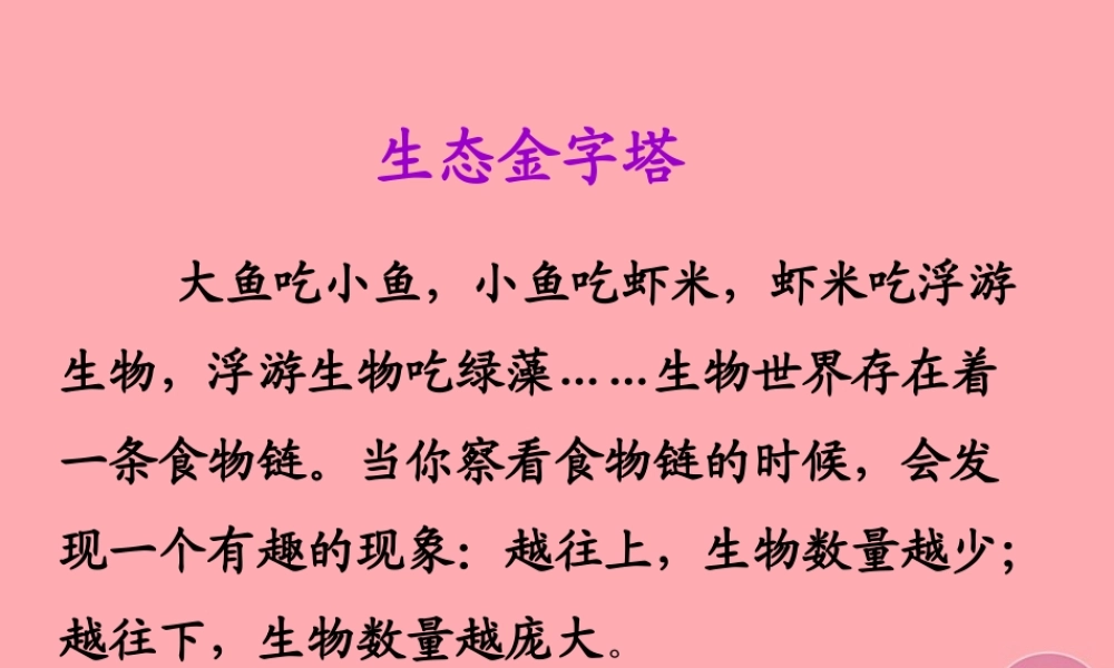 五年级语文上册 第五单元 生态金字塔课件3 湘教版-湘教版小学五年级上册语文课件