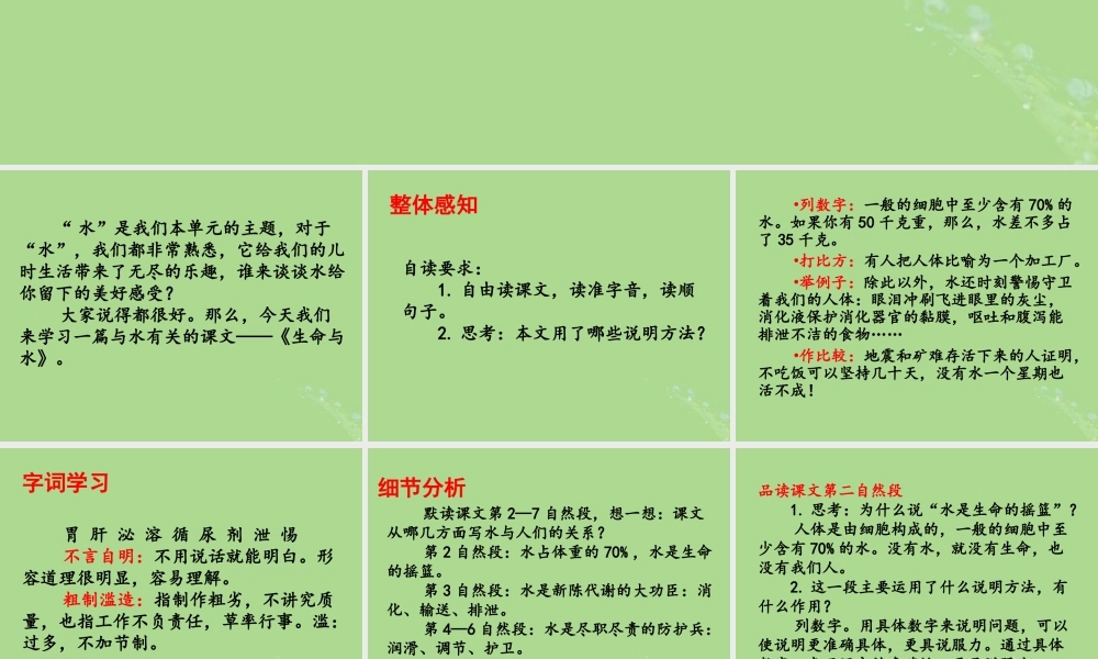五年级语文上册 第五单元 水 11 生命与水教学课件 北师大版-北师大版小学五年级上册语文课件