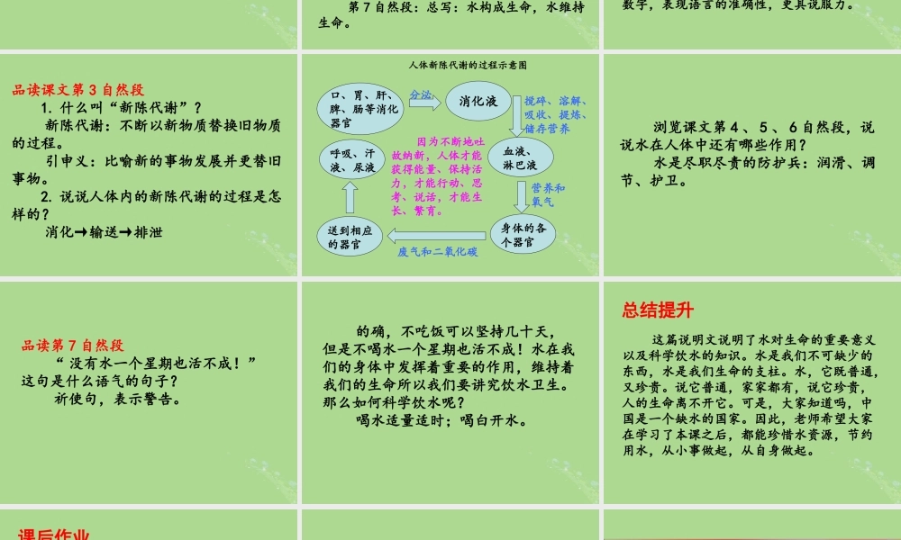 五年级语文上册 第五单元 水 11 生命与水教学课件 北师大版-北师大版小学五年级上册语文课件