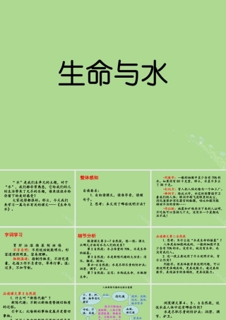 五年级语文上册 第五单元 水 11 生命与水教学课件 北师大版-北师大版小学五年级上册语文课件