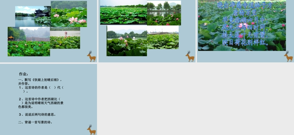 五年级语文上册 第五单元 水 12 古诗二首 饮湖上初晴后雨教学课件 北师大版-北师大版小学五年级上册语文课件