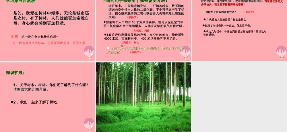 五年级语文上册 第五单元 我爱在林中漫步课件1 湘教版-湘教版小学五年级上册语文课件