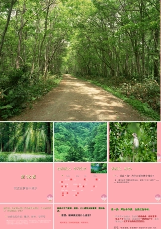 五年级语文上册 第五单元 我爱在林中漫步课件1 湘教版-湘教版小学五年级上册语文课件