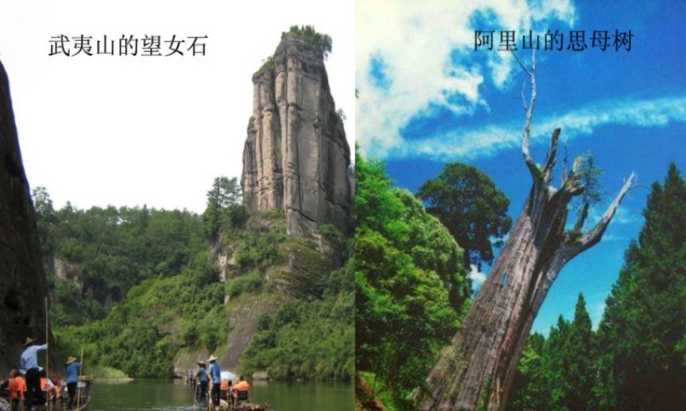 五年级语文上册 第五单元 武夷山和阿里山的传说课件3 鄂教版-鄂教版小学五年级上册语文课件