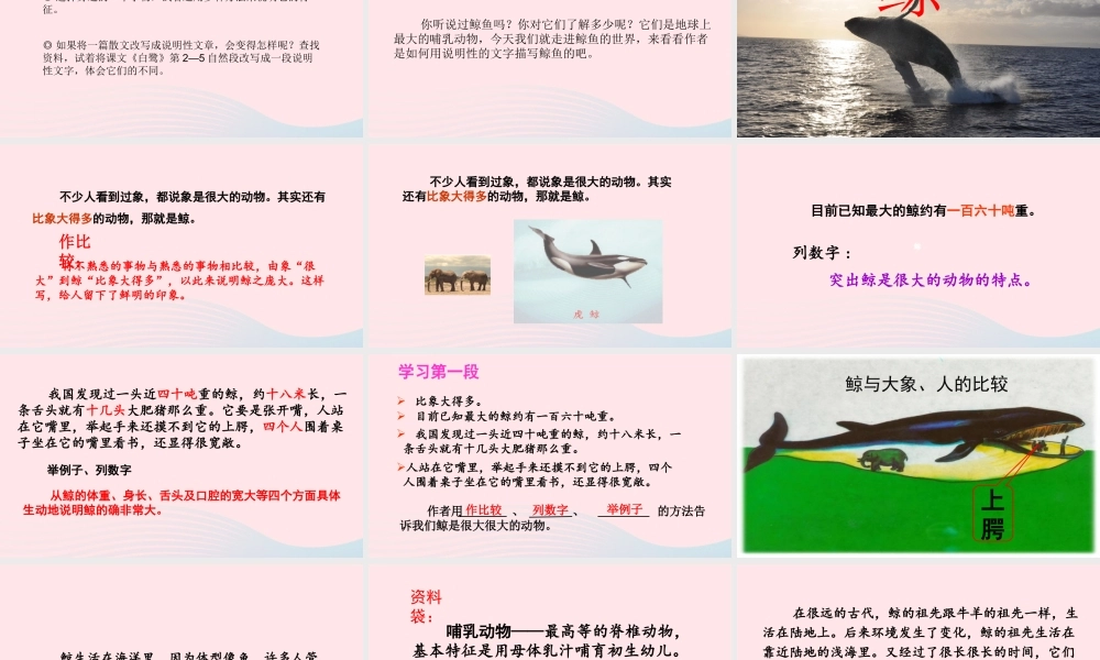 五年级语文上册 第五单元 习作教学课件 新人教版-新人教版小学五年级上册语文课件